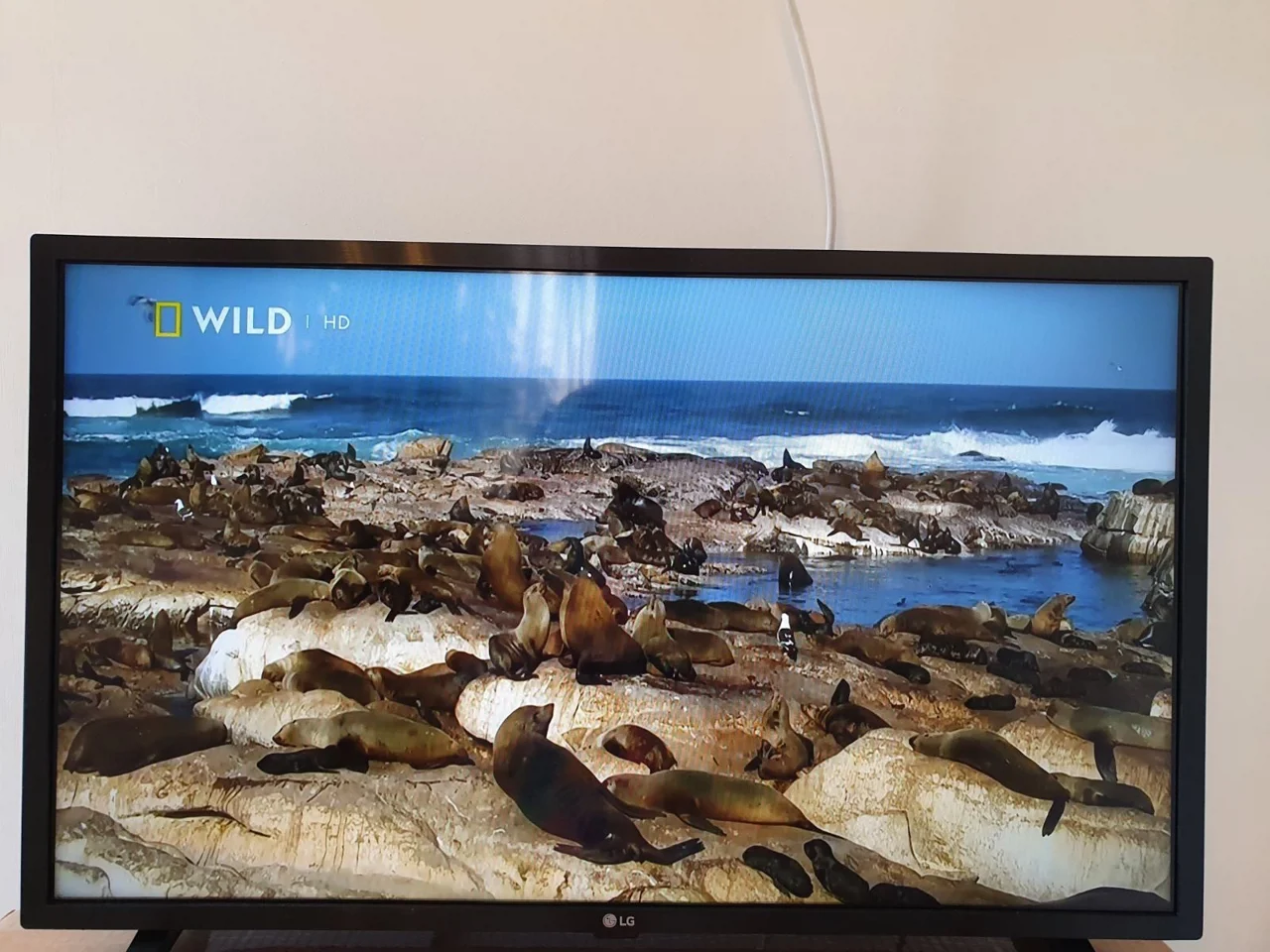 Бунгало - Марина