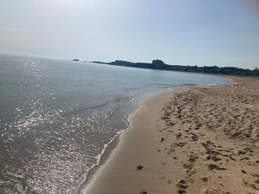 Бунгало - Елия