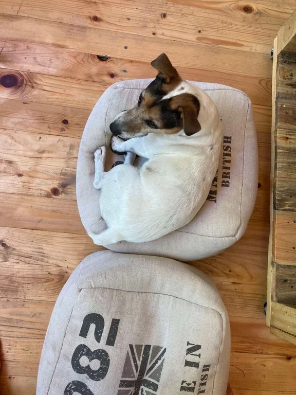 Бунгало - Втория хан