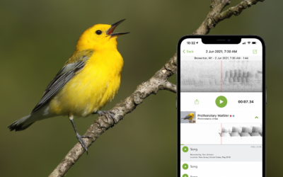 5 безплатни приложения за твоето къмпинг преживяване
